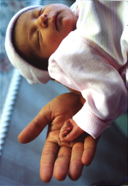 hands